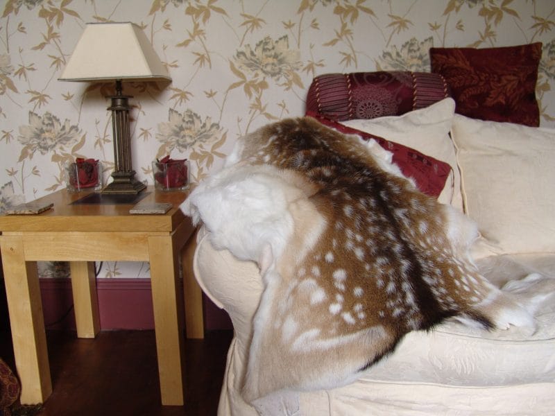 CP6 K-Tan Home Tanning Kit for Deer, Sheep, Fox Skins, Cow Hide + More - Image 3