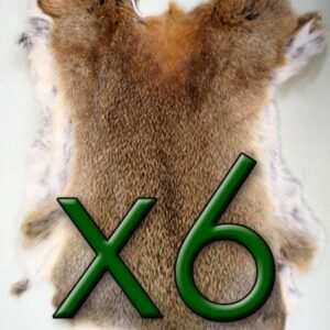 6 x Natural Rabbit Skins Tanned Real Fur for Animal Training, Dummy, Crafts
