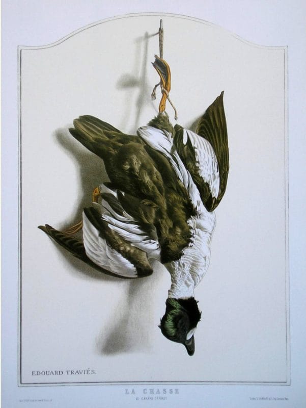 Goldeneye Bird Wildlife Artist Painting Dead Game Print | SportingCutlery.co.uk