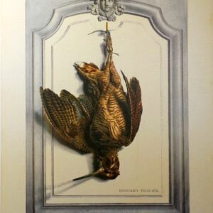 Woodcock Bird Wildlife Artist Painting Dead Game Print | SportingCutlery.co.uk