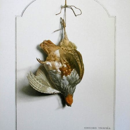 Grey Partridge  Bird Wildlife Artist Painting Dead Game Print | SportingCutlery.co.uk