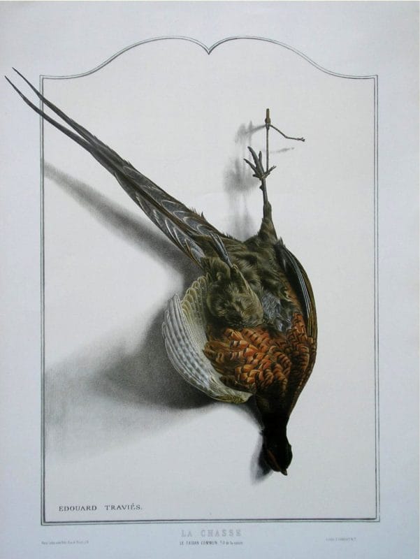 Pheasant Bird Wildlife Artist Painting Dead Game Print | SportingCutlery.co.uk