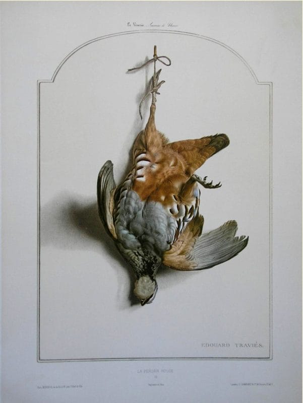 Red Legged Partridge Bird Wildlife Artist Painting Dead Game Print | SportingCutlery.co.uk