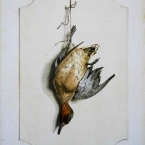 Teal Bird Wildlife Artist Painting Dead Game Print | SportingCutlery.co.uk