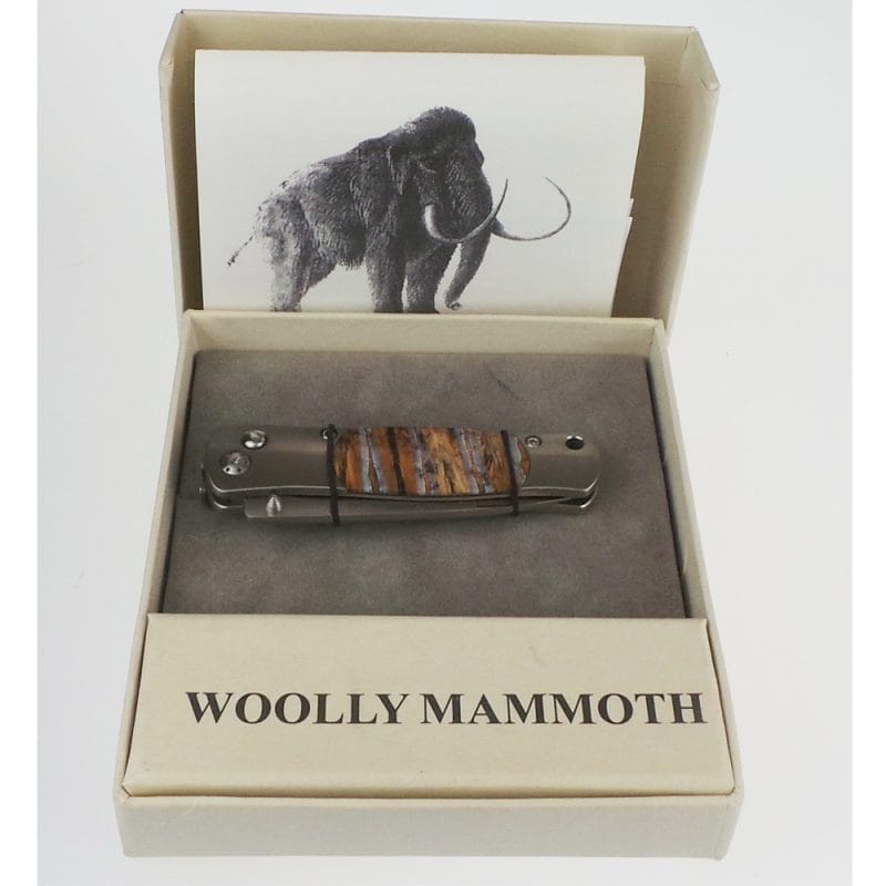 Santa Fe Stoneworks Tesoro Woolly Mammoth Tooth 7cm Button Lock Knife - Image 2