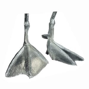 Pewter Bird Feet Small Diving Ducks and Bufflehead