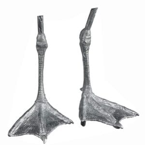 Pewter Bird Feet Herring Gull