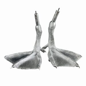 Pewter Bird Feet Pintail