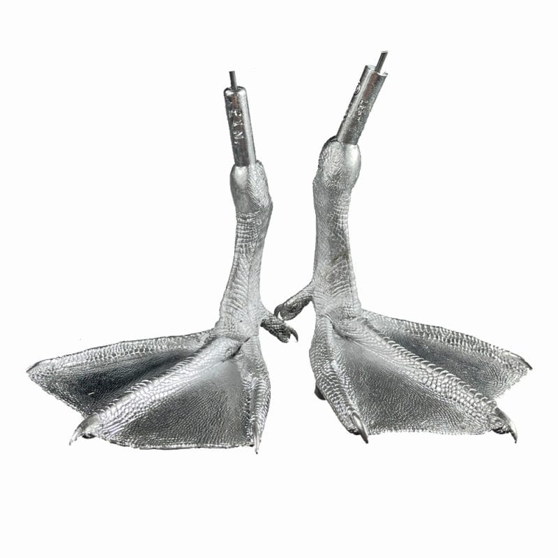Pewter Bird Feet Pintail