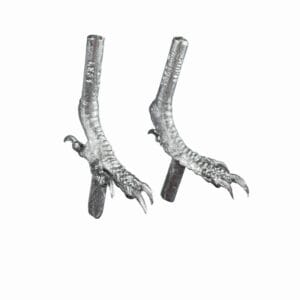 Pewter Bird Feet Kingfisher