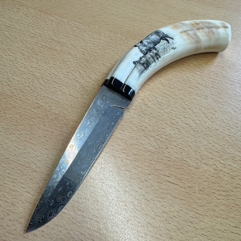 Pieter Annandale Warthog Tusk Scrimshaw - Image 3