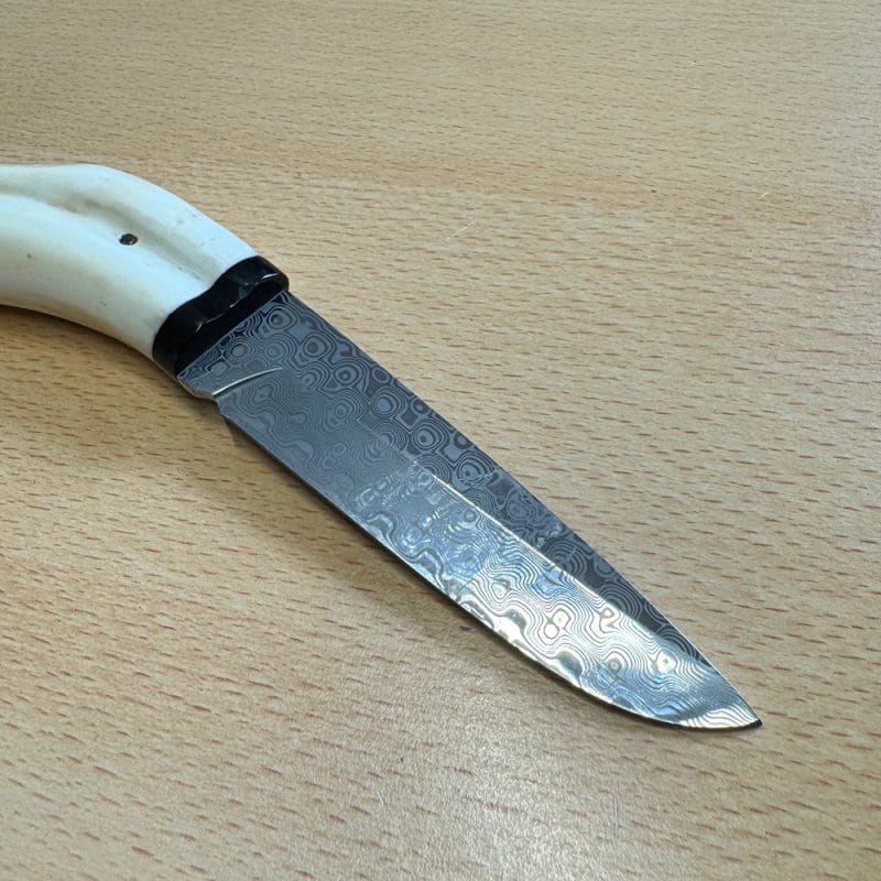 Pieter Annandale Warthog Tusk Scrimshaw - Image 8