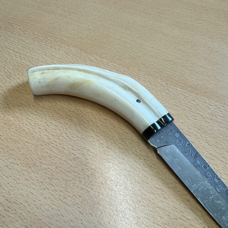 Pieter Annandale Warthog Tusk Scrimshaw - Image 7
