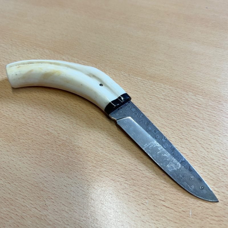 Pieter Annandale Warthog Tusk Scrimshaw - Image 6