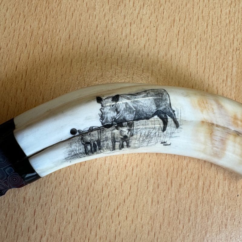 Pieter Annandale Warthog Tusk Scrimshaw - Image 5